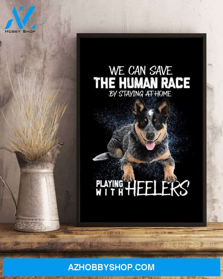 Playing with Heelers poster