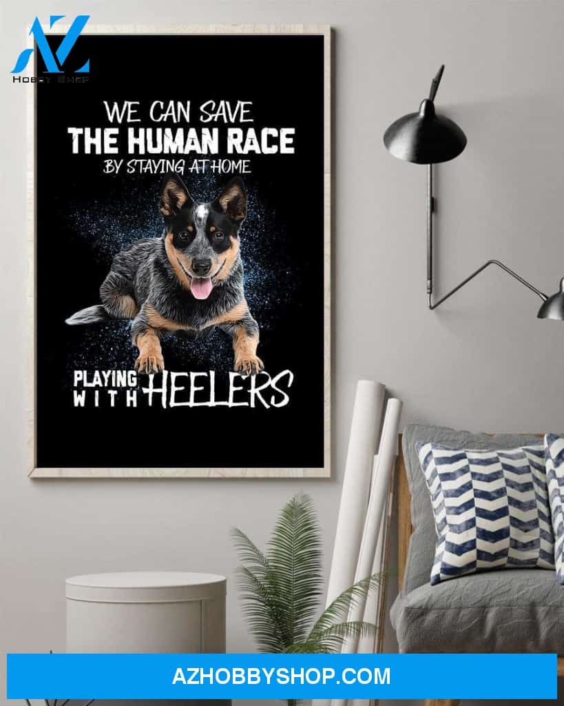 Playing with Heelers poster