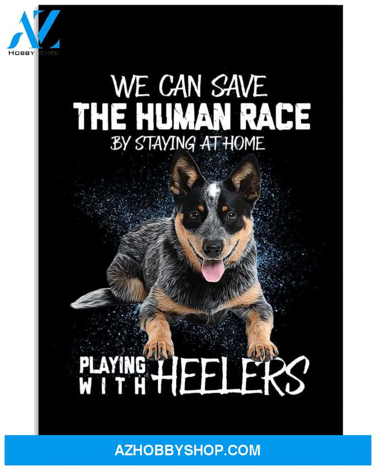 Playing with Heelers poster