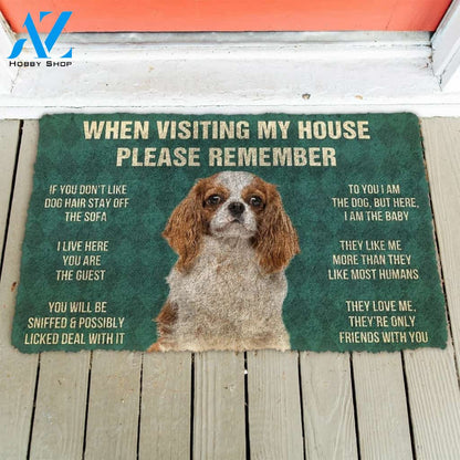 Gearhumans Gearhuman 3D Please Remember Cavalier King Charles Spaniel Dogs House Rules Custom Doormat