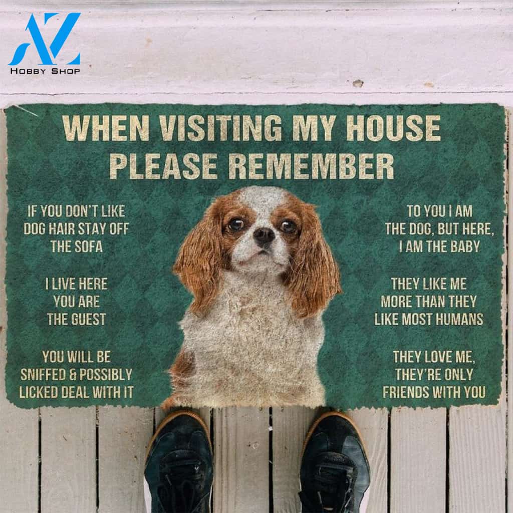 PLEASE REMEMBER CAVALIER KING CHARLES SPANIEL DOG'S HOUSE RULES DOORMAT Warm House Gift Welcome Mat Birthday Gift Funny Gift Gift For Cavalier King Charles Spaniel Dog Lover
