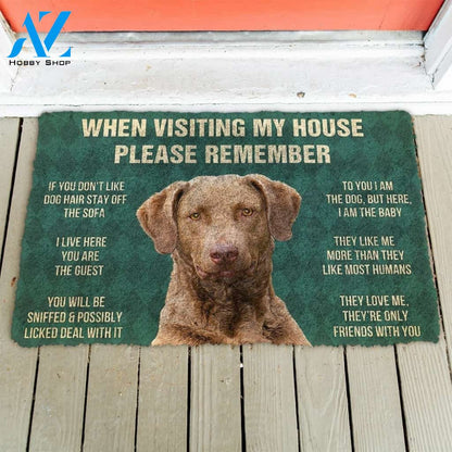 Gearhumans Gearhuman 3D Please Remember Chesapeake Bay Retriever Dogs House Rules Custom Doormat