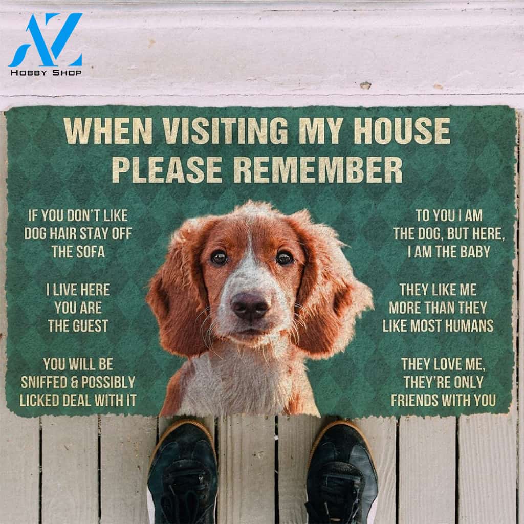 Gearhumans GearHuman 3D Please Remember Irish Red and White Setter Dogs House Rules Doormat