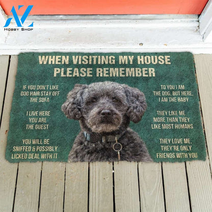 Gearhumans GearHuman 3D Please Remember Schnoodle Dogs House Rules Doormat