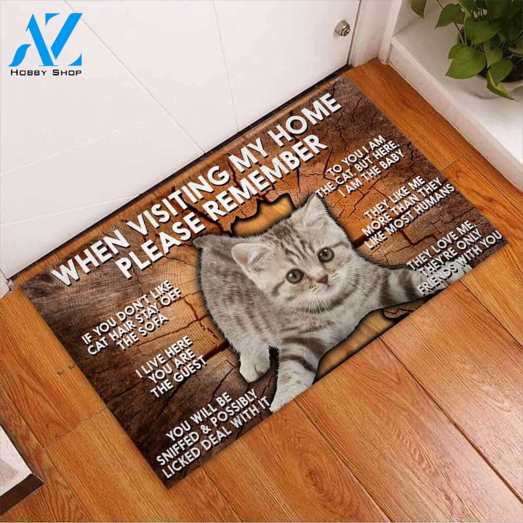 Please Remember When Visiting My Home - Cat Doormat | Welcome Mat | House Warming Gift