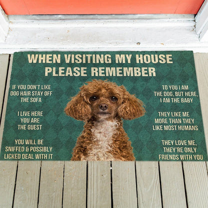 Poodle's Rules Doormat