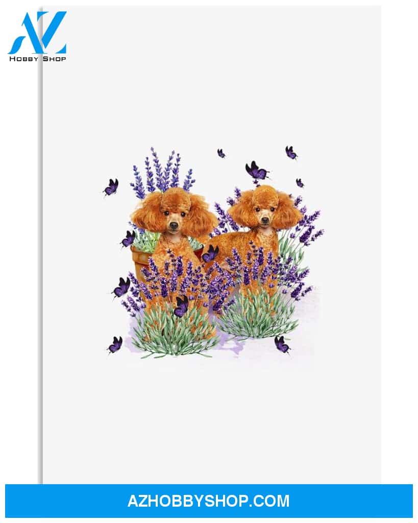 Poodle with lavender flower poster