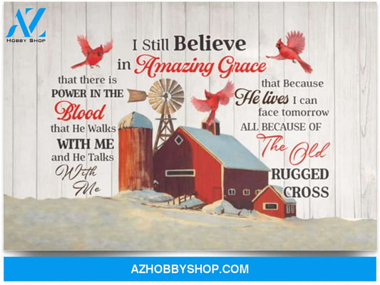 Poster Motivational I Still Believe In Amazing Grace – Cardinal Wall Art 