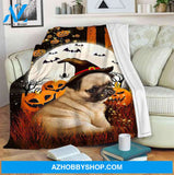 Pug Witch Blanket, Mink Blanket,Fleece Blanket,Sherpa Blanket,Special present,Anniversary , Dog Blanket Home Decor Bedding Couch Sofa Soft and Comfy Cozy