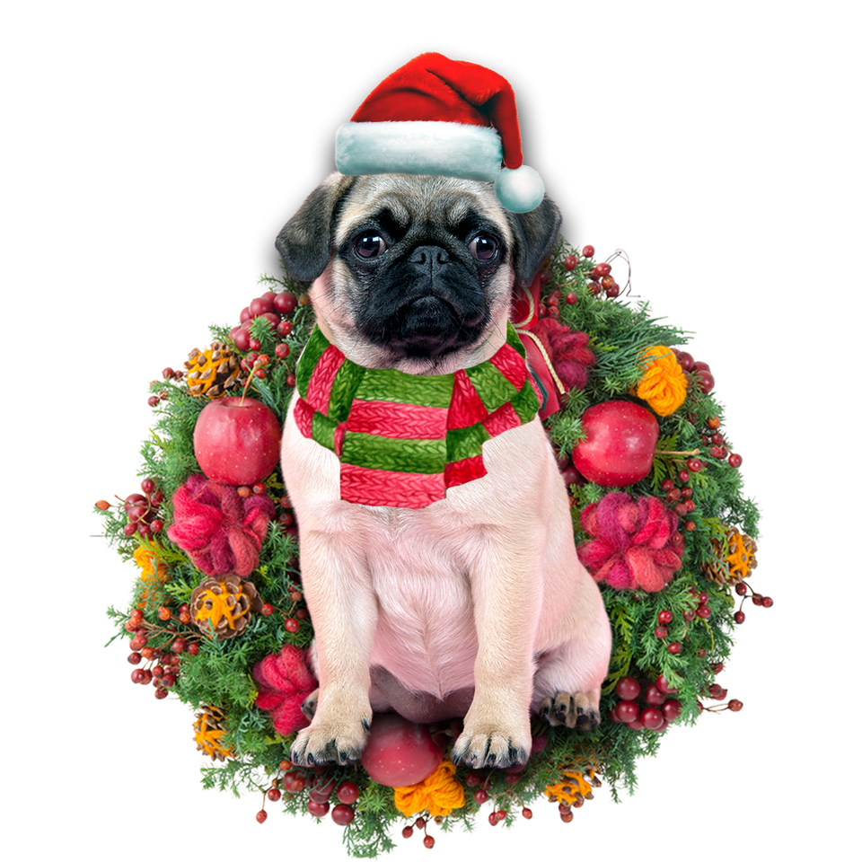 Godmerch- Ornament- Pug Christmas Ornament, Happy Christmas Ornament, Car Ornament