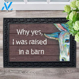 Raised in a Barn Donkey Doormat - 18" x 30"
