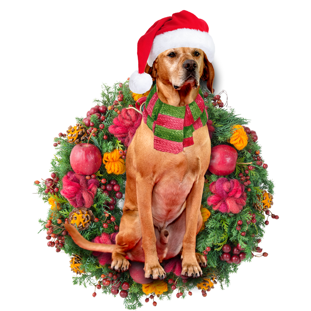 Godmerch- Ornament- Red Labrador Christmas Ornament, Happy Christmas Ornament, Car Ornament