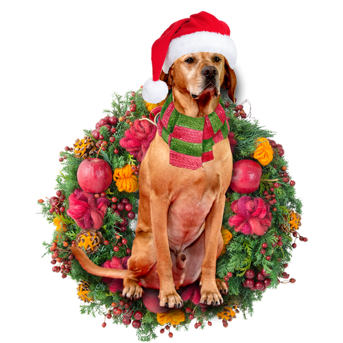 Godmerch- Ornament- Red Labrador Christmas Ornament, Happy Christmas Ornament, Car Ornament
