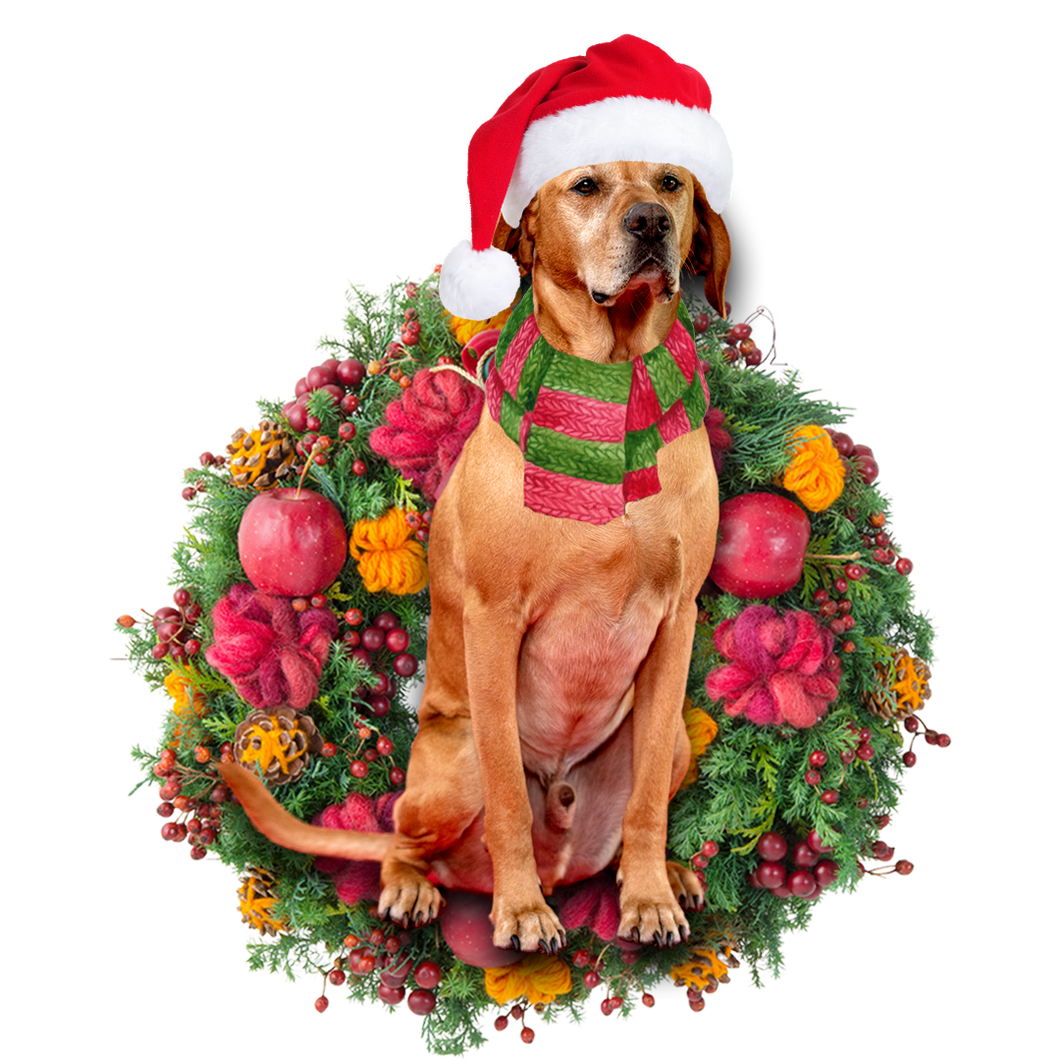 Godmerch- Ornament- Red Labrador Christmas Ornament, Happy Christmas Ornament, Car Ornament