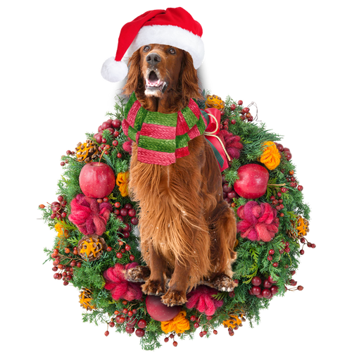 Godmerch- Ornament- Red Setter Christmas Ornament, Happy Christmas Ornament, Car Ornament