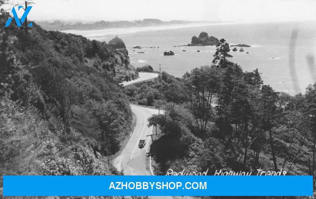 Redwood Highway In Humboldt County Ca Photograph