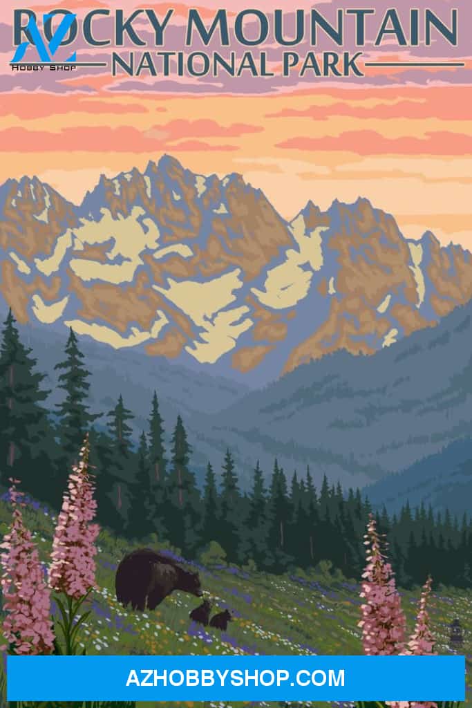 Rocky Mountain National Park Colorado Bear And Cubs With Flowers