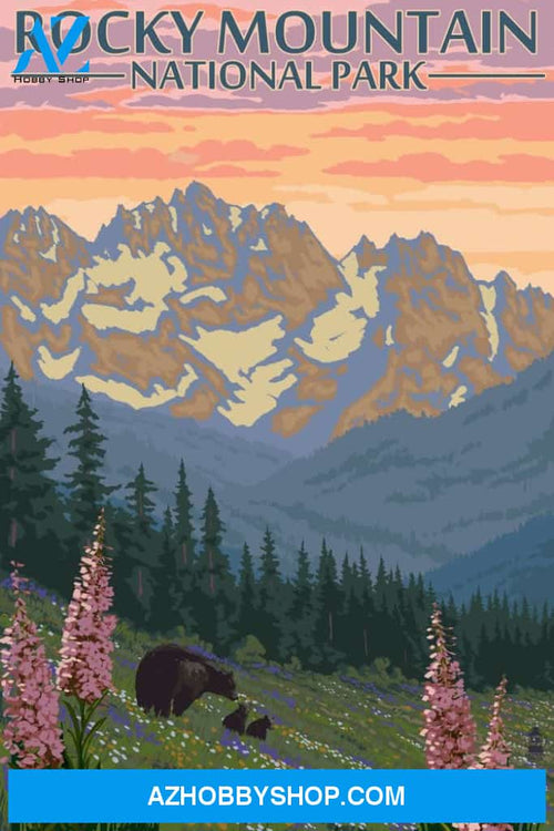 Rocky Mountain National Park Colorado Bear And Cubs With Flowers