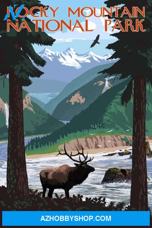 Rocky Mountain National Park Colorado Elk