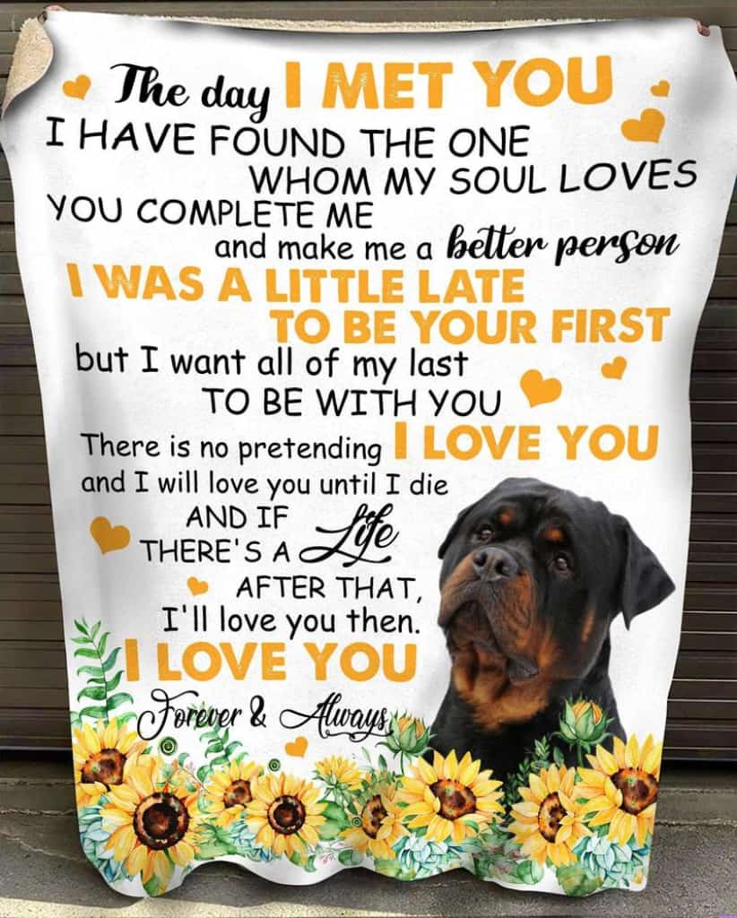 Rottweiler The Day I Met You Sunflower Blanket Gift For Dog Lovers Birthday Gift Home Decor Bedding Couch Sofa Soft and Comfy Cozy