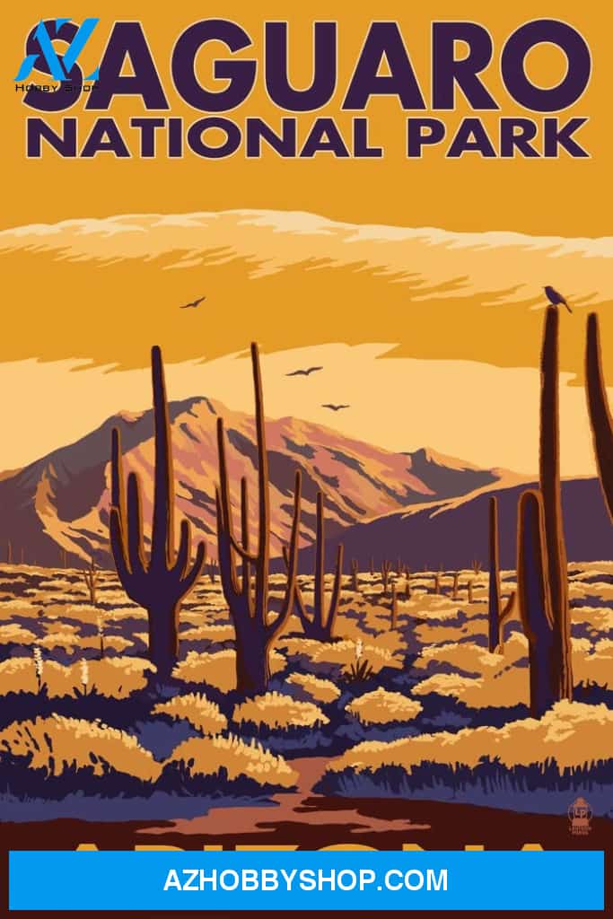 Saguaro National Park Arizona