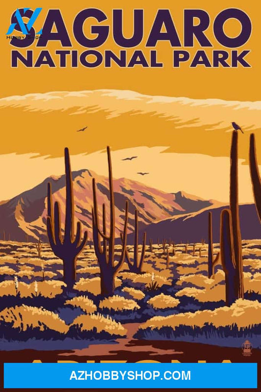 Saguaro National Park Arizona