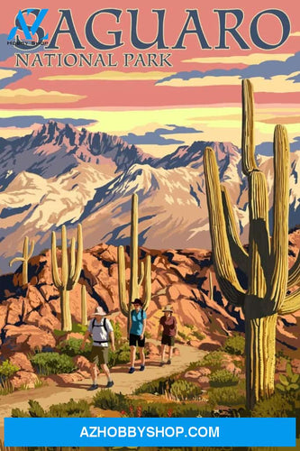 Saguaro National Park Arizona Hiking Scene