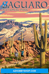 Saguaro National Park Arizona Hiking Scene