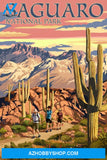 Saguaro National Park Arizona Hiking Scene