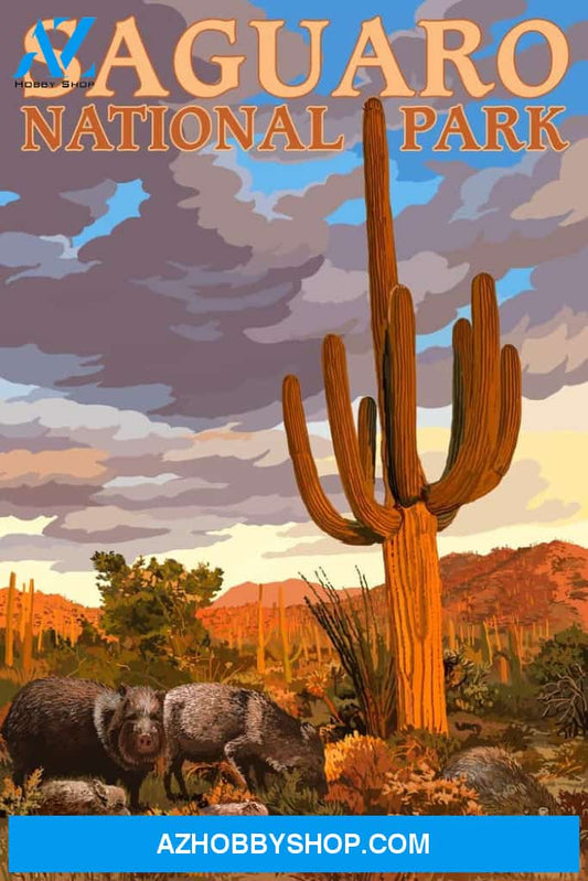 Saguaro National Park Javelina