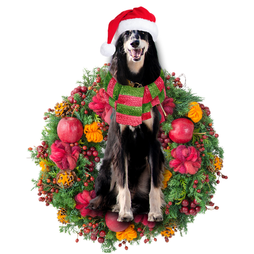 Godmerch- Ornament- Saluki Christmas Ornament, Happy Christmas Ornament, Car Ornament
