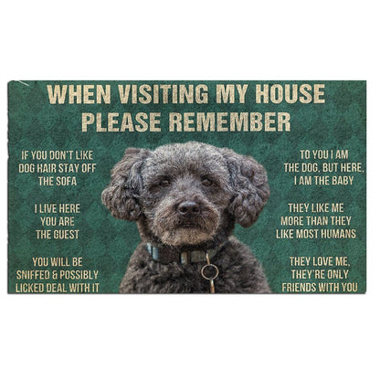 Schnoodle's Rules Doormat