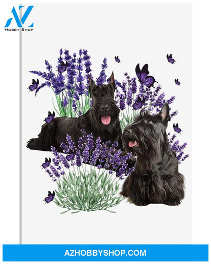 Scottish Terrier and lavender flower poster
