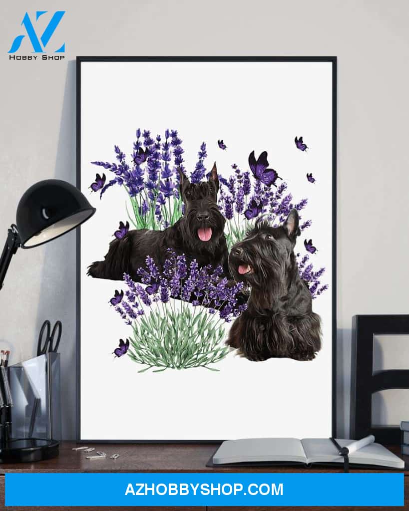 Scottish Terrier and lavender flower poster