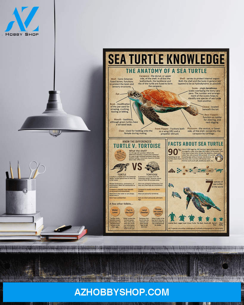 Sea Turtle Knowledge Canvas And Poster, Wall Decor Visual Art