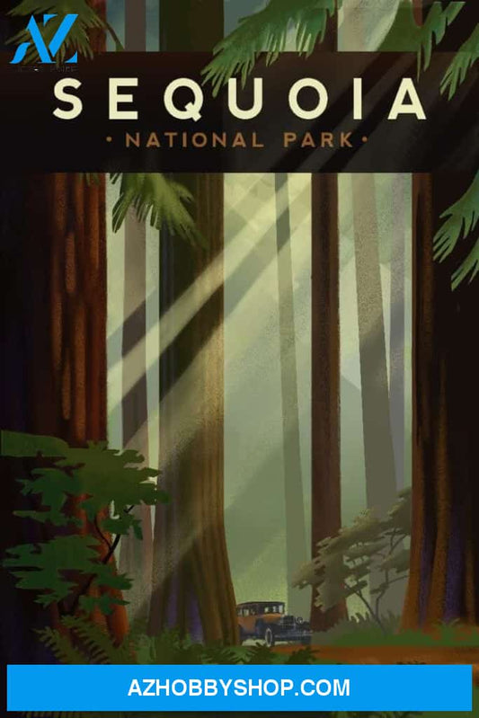Sequoia National Park California Redwood Forest Geometric Lithograph