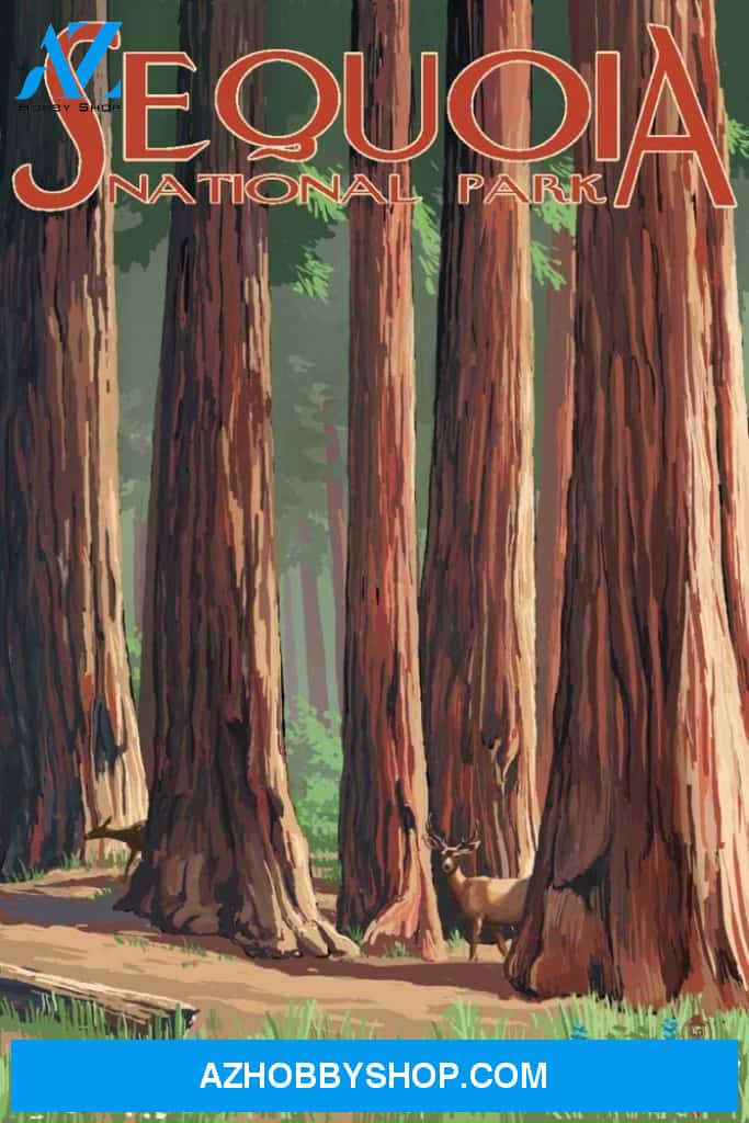 Sequoia National Park Forest Grove In Spring
