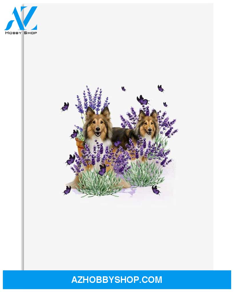 Sheltie with lavender flower poster