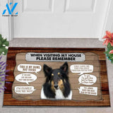 Shetland Sheepdog 1 Visiting My House Doormat