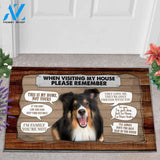 Shetland Sheepdog 2 Visiting My House Doormat