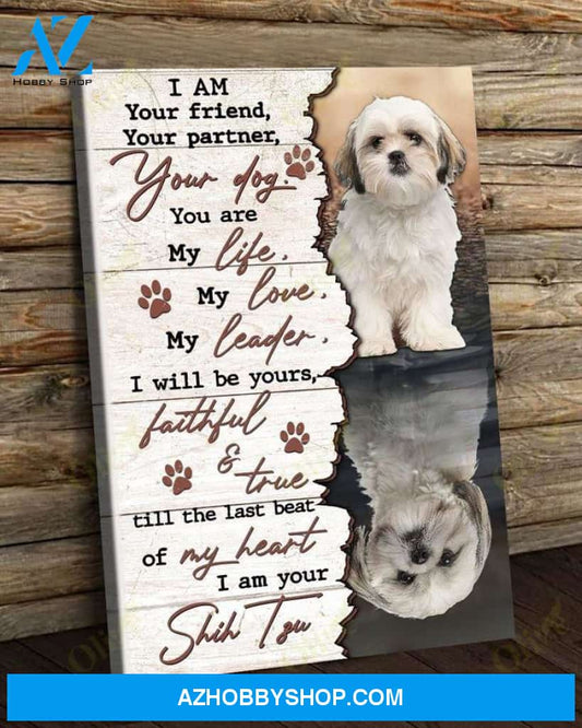 Shih Tzu - I'm your amazing Shih Tzu Dog Portrait Canvas Prints, Wall Art