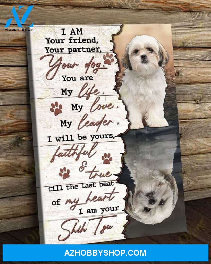 Shih Tzu - I'm your amazing Shih Tzu Dog Portrait Canvas Prints, Wall Art