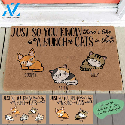 Sleeping Cat, Just So You Know There's Like A Bunch Of The Cats In There, Cat Personalized Doormat TV