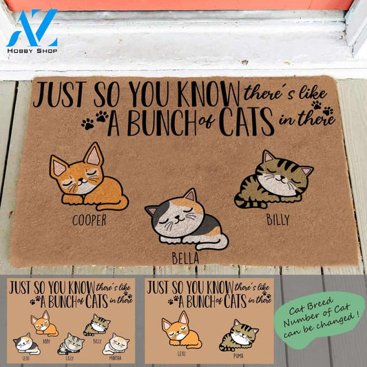 Sleeping Cat, Just So You Know There's Like A Bunch Of The Cats In There, Cat Personalized Doormat TV