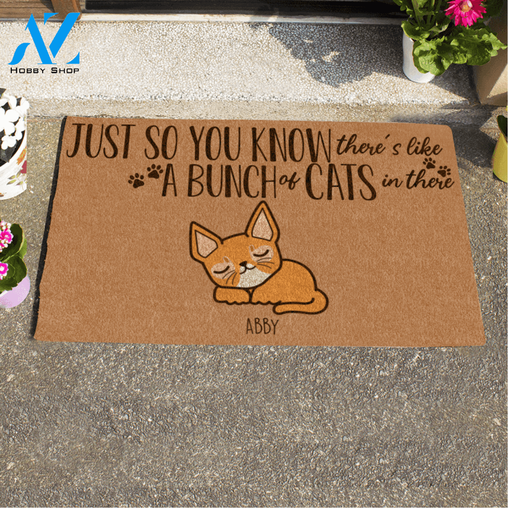 Sleeping Cat, Just So You Know There's Like A Bunch Of The Cats In There, Cat Personalized Doormat TV