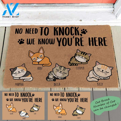 Sleeping Cat, No Need To Knock, We Know You're Here, Cat Personalized Doormat TV