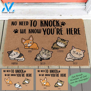 Sleeping Cat, No Need To Knock, We Know You're Here, Cat Personalized Doormat TV