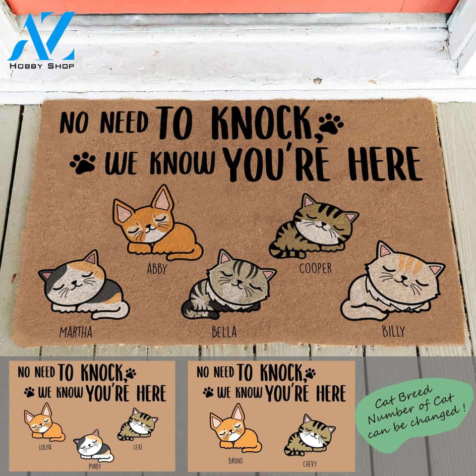 Sleeping Cat, No Need To Knock, We Know You're Here, Cat Personalized Doormat TV