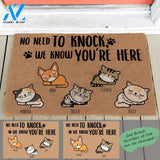 Sleeping Cat, No Need To Knock, We Know You're Here, Cat Personalized Doormat TV