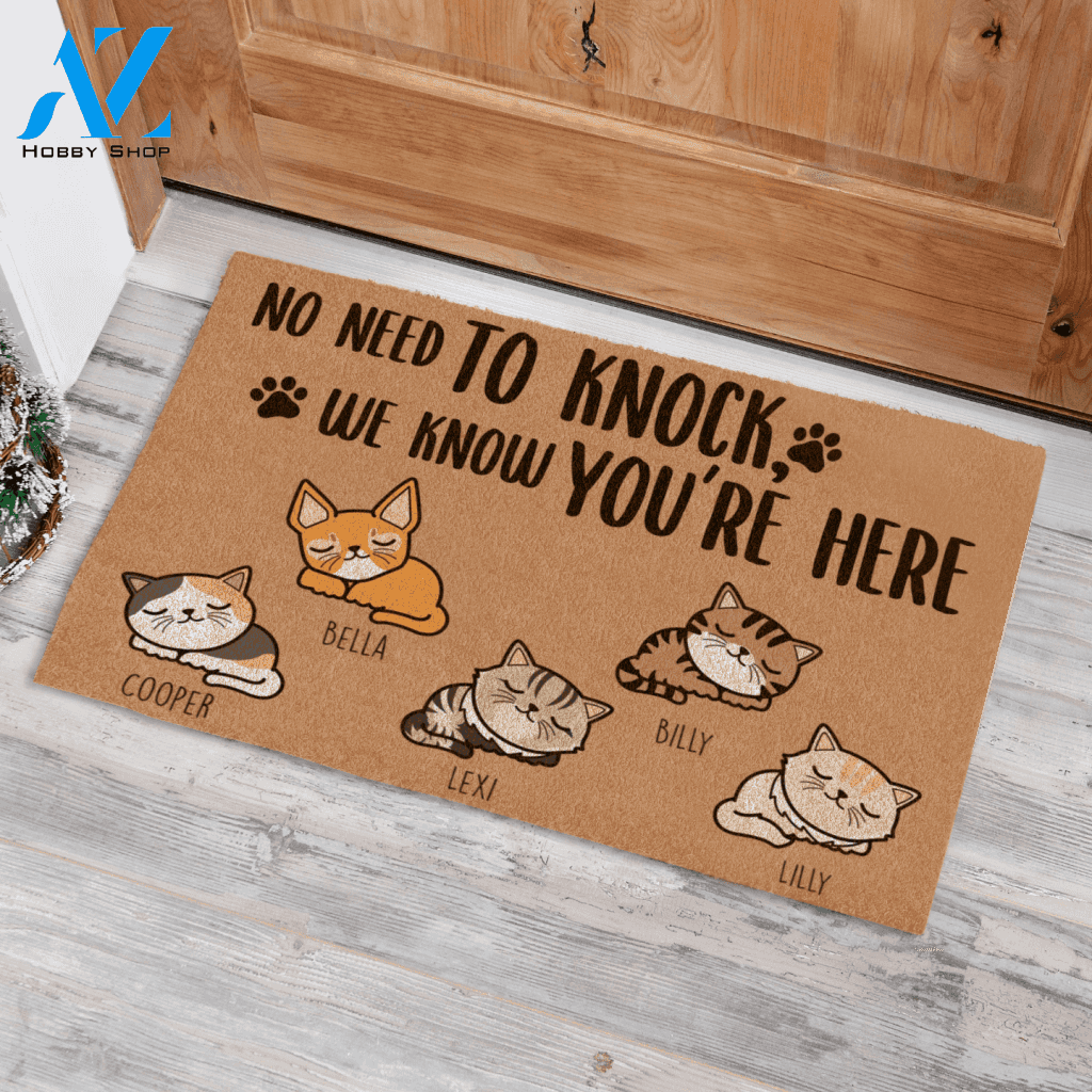 Sleeping Cat, No Need To Knock, We Know You're Here, Cat Personalized Doormat TV